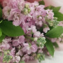 Букет из 9 розовых маттиол фото 2